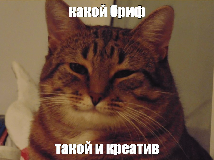Бриф, который раскрывает клиента | Сетка — социальная сеть от hh.ru