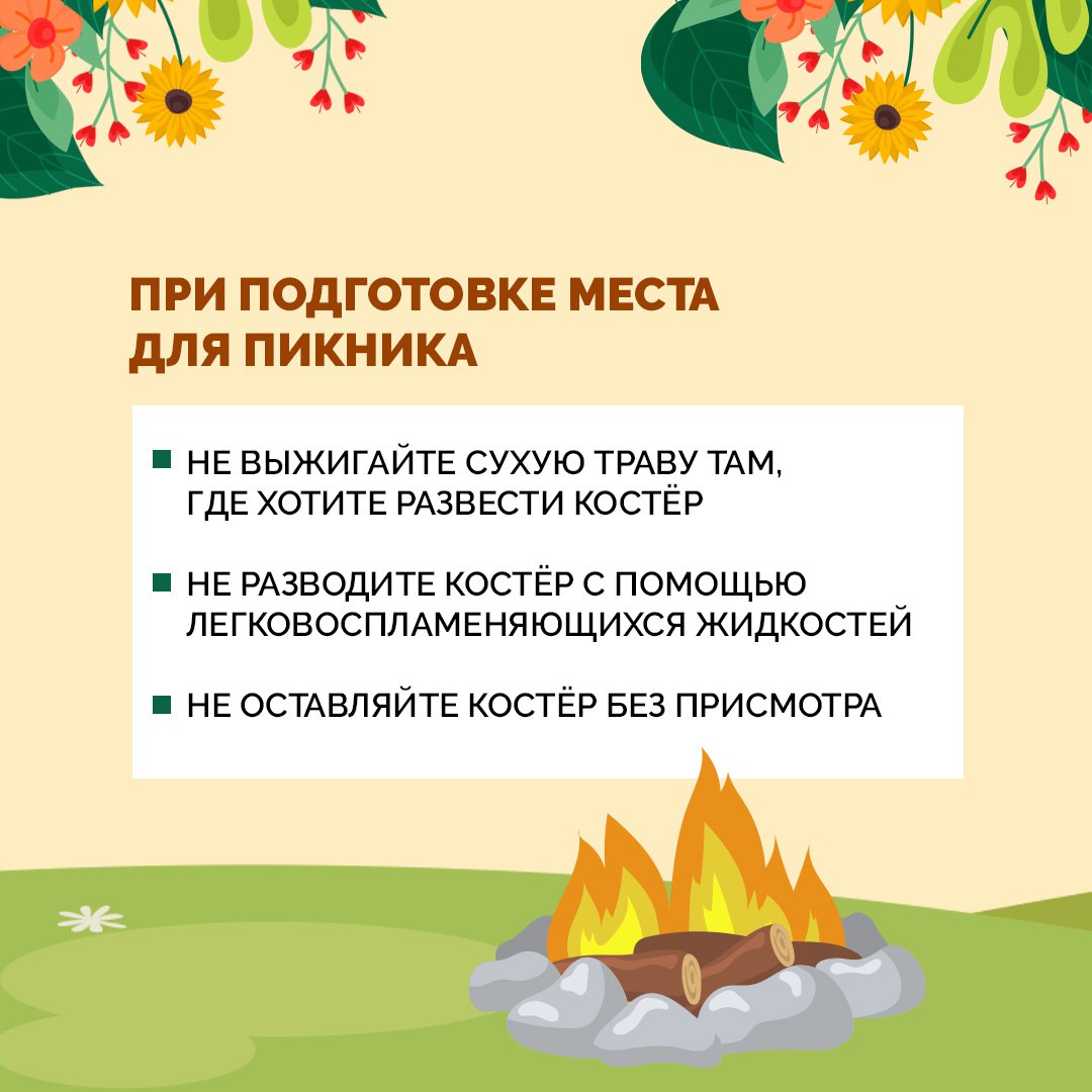 Как не стать причиной пожара в лесу?
На улице потеплело и многие начинают выезжать на пикники в лес. Как правильно организовать отдых без лишних приключений?
Собрали самые главные советы в карточках. | Сетка — социальная сеть от hh.ru