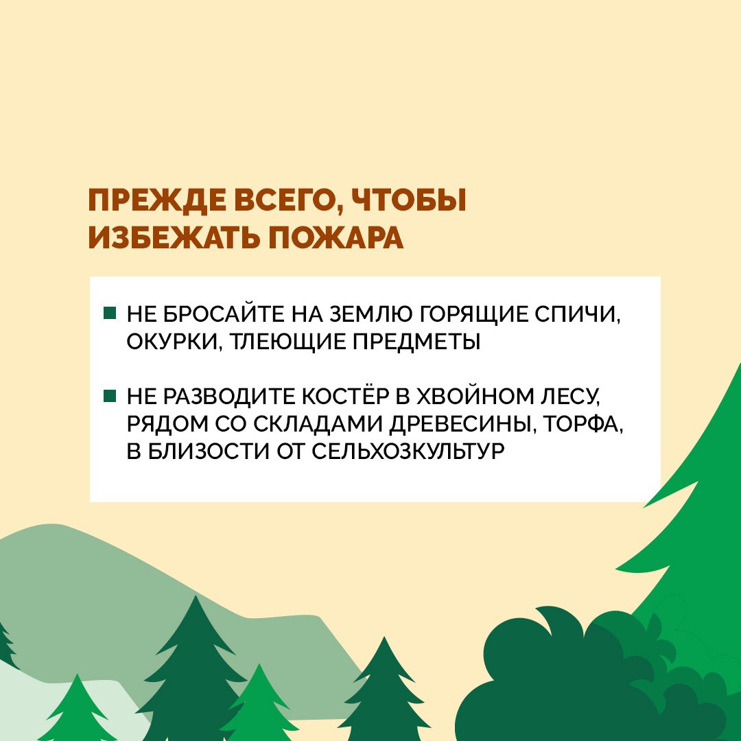 Как не стать причиной пожара в лесу?
На улице потеплело и многие начинают выезжать на пикники в лес. Как правильно организовать отдых без лишних приключений?
Собрали самые главные советы в карточках. | Сетка — социальная сеть от hh.ru