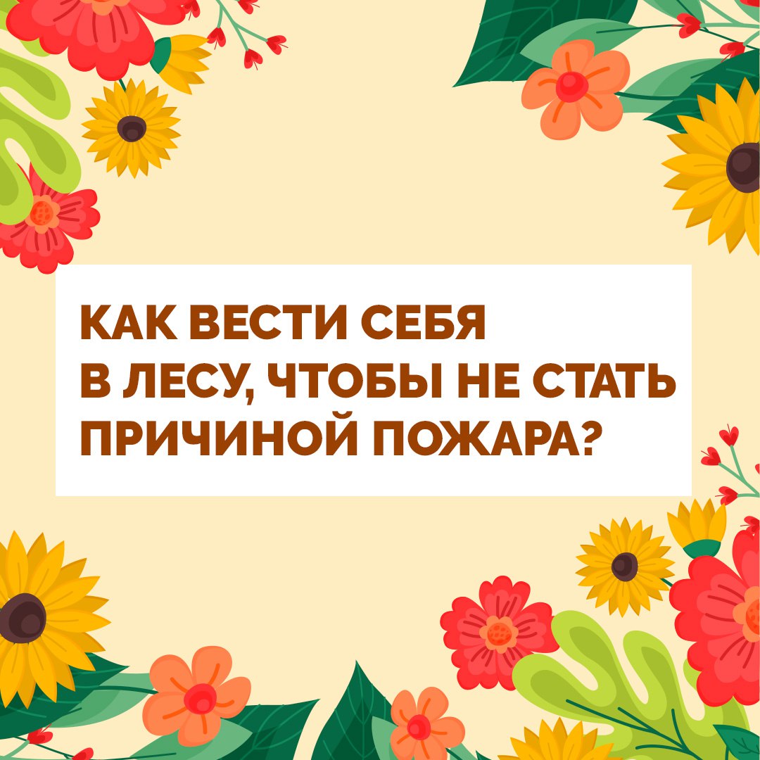 Как не стать причиной пожара в лесу?
На улице потеплело и многие начинают выезжать на пикники в лес. Как правильно организовать отдых без лишних приключений?
Собрали самые главные советы в карточках. | Сетка — социальная сеть от hh.ru