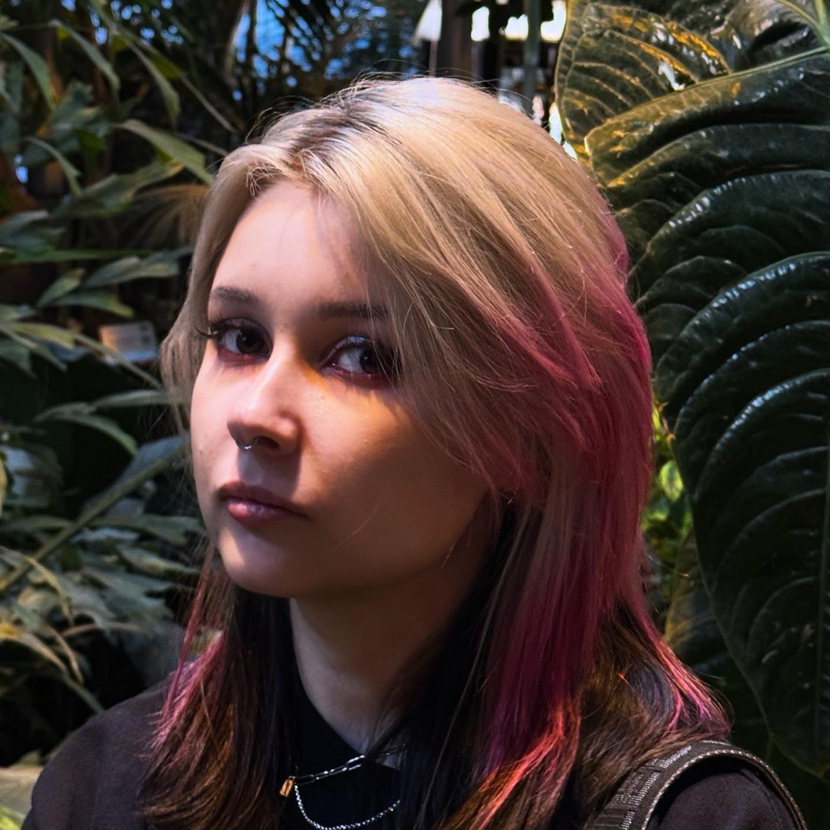 Дарья Чайка