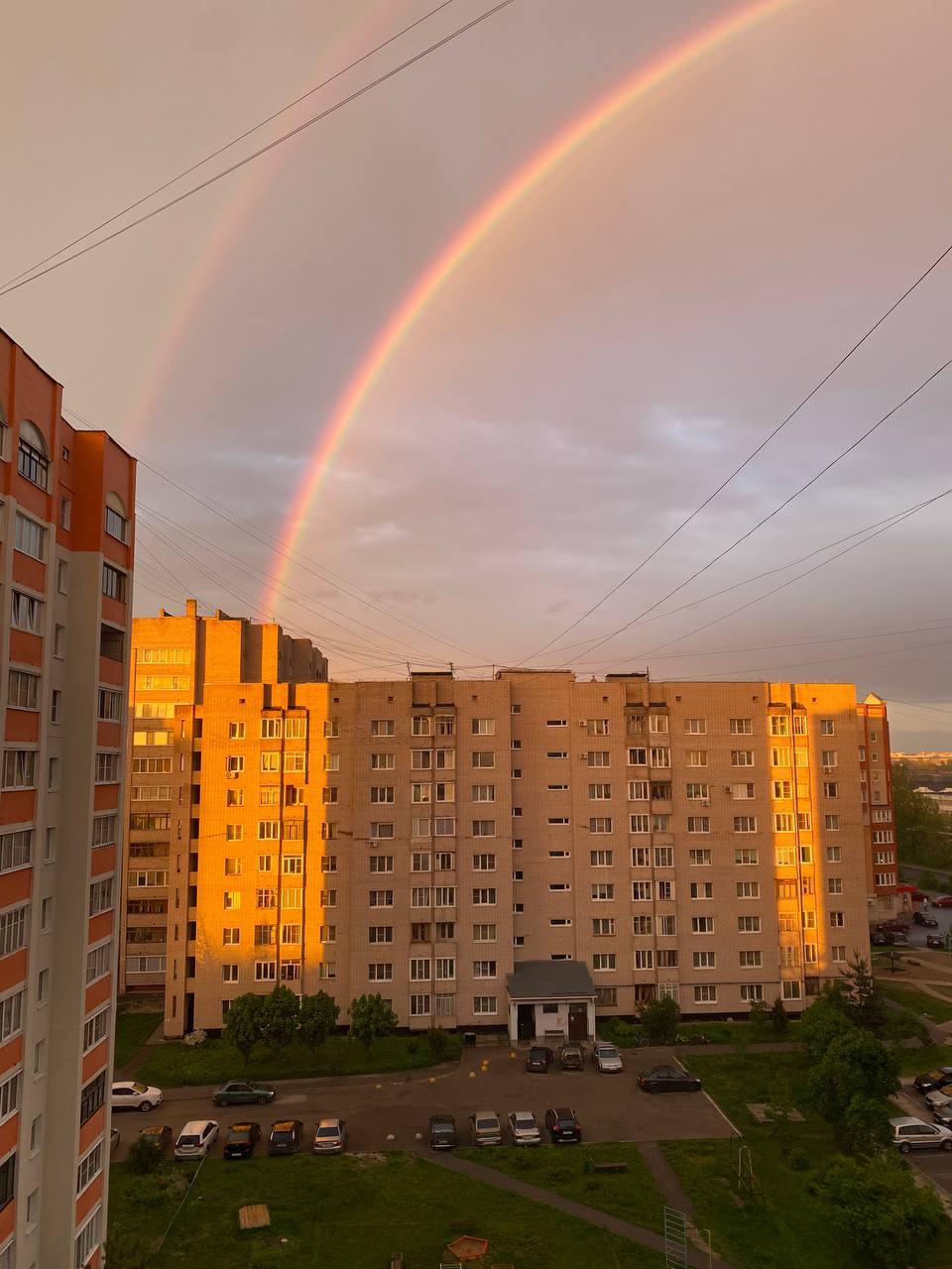 Это что за красота такая 🌈🦄☀️ | Сетка — социальная сеть от hh.ru