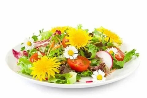 🌼 ОДУВАНЧИК: НЕ ПРОСТО СОРНЯК, А КЛАДЕЗЬ ПОЛЬЗЫ! 🌼
Вы знали, что одуванчик – это не только милый желтый цветок, но и настоящий суперфуд? 🤯
Чем же он полезен?🔺
Витамины и минералы: Одуванчик богат вита... | Сетка — социальная сеть от hh.ru
