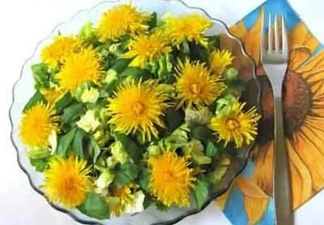 🌼 ОДУВАНЧИК: НЕ ПРОСТО СОРНЯК, А КЛАДЕЗЬ ПОЛЬЗЫ! 🌼
Вы знали, что одуванчик – это не только милый желтый цветок, но и настоящий суперфуд? 🤯
Чем же он полезен?🔺
Витамины и минералы: Одуванчик богат вита... | Сетка — социальная сеть от hh.ru