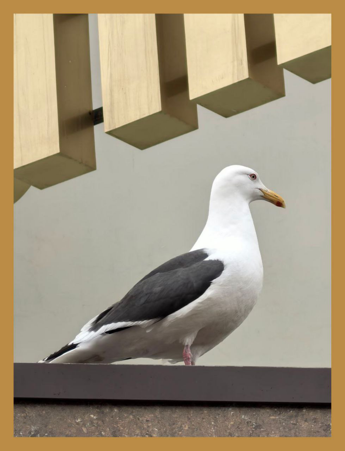 Быть красивым / Being beautiful | Сетка — социальная сеть от hh.ru