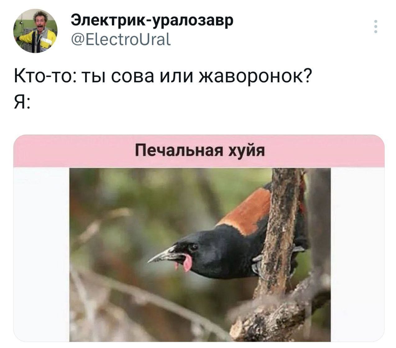 Встать после тимбилдинга в офис 😒 | Сетка — социальная сеть от hh.ru