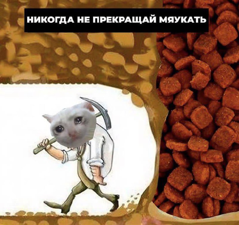 Как добиться чего угодно от кого угодно
Лайфхак среды, проверенный вашими пушистиками.
#мемы | Сетка — социальная сеть от hh.ru