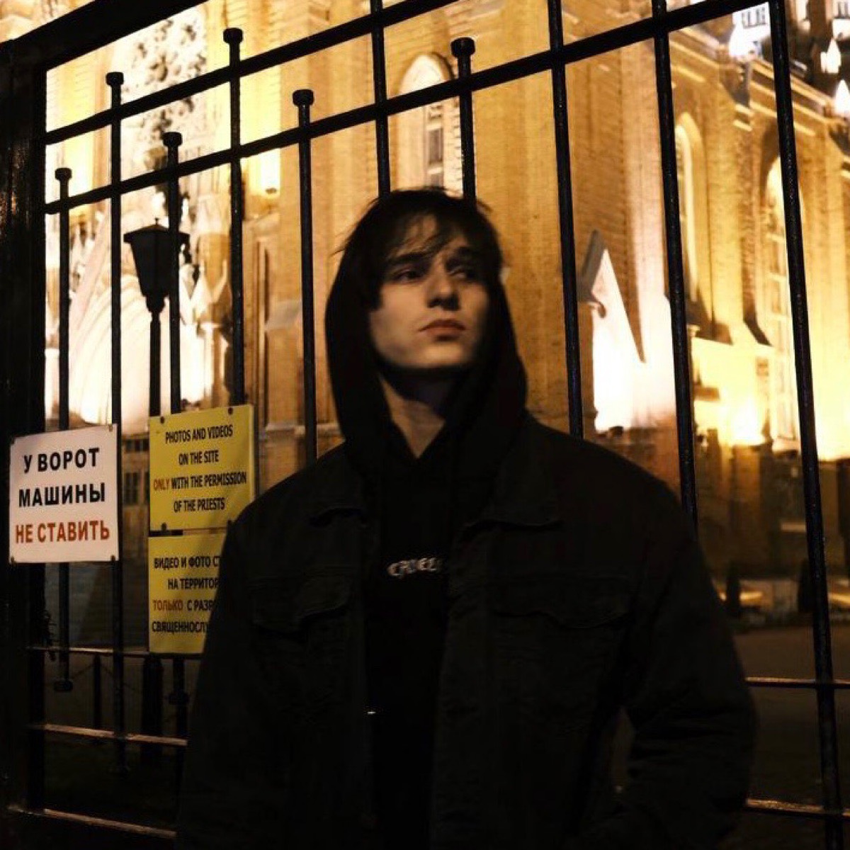 Никита Богомолов | Сетка — социальная сеть от hh.ru