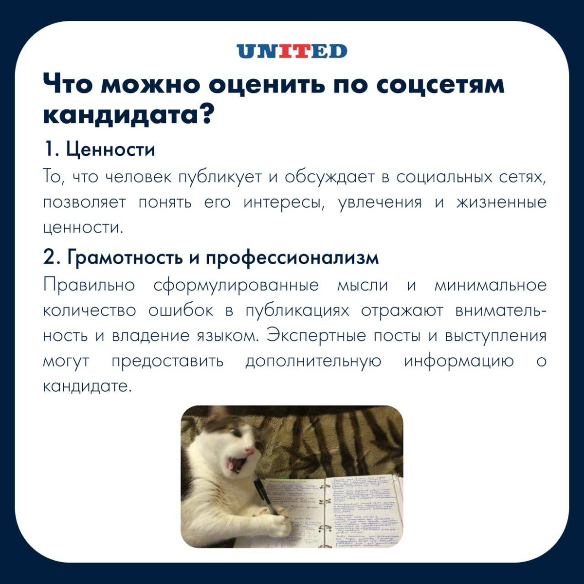 Бесконечно можно смотреть на 3️⃣ вещи: | Сетка — социальная сеть от hh.ru