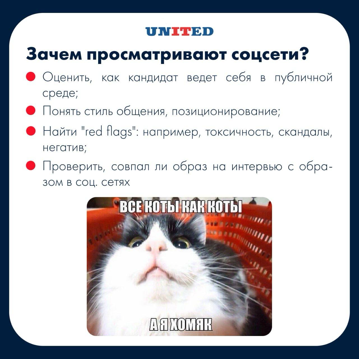 Бесконечно можно смотреть на 3️⃣ вещи: | Сетка — социальная сеть от hh.ru