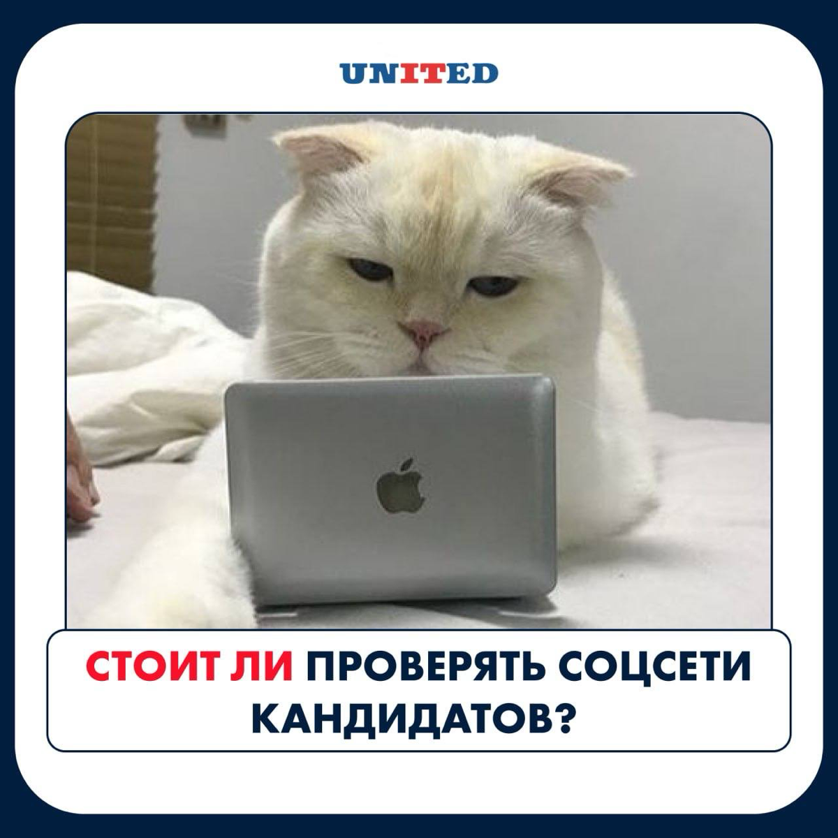 Бесконечно можно смотреть на 3️⃣ вещи: | Сетка — социальная сеть от hh.ru