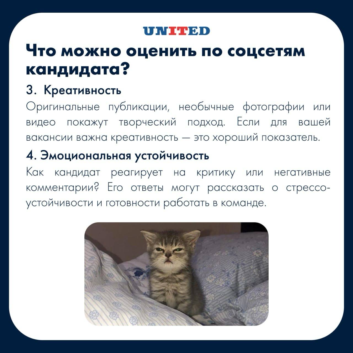 Бесконечно можно смотреть на 3️⃣ вещи: | Сетка — социальная сеть от hh.ru