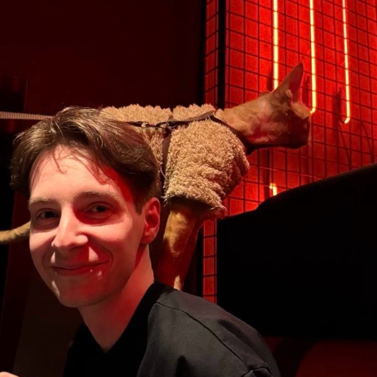 Network member avatar