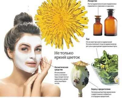 ✨ КАК ОМОЛОДИТЬСЯ ОТ ОДУВАНЧИКА? ✨
Да-да, вы не ослышались! Одуванчик – не только сорняк, но и кладезь полезных веществ | Сетка — социальная сеть от hh.ru