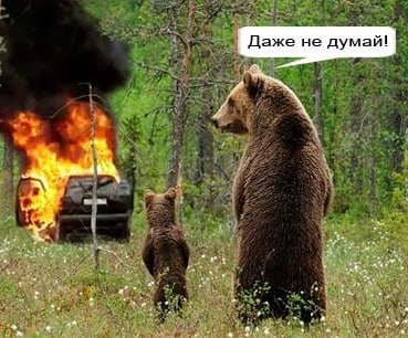 Божечки, я все время запрыгиваю в последний вагон. Ну не успеваю я за всеми трендами и мемчиками. Вот говорят, что кринж говорить уже не можно, нужно — кринге.
Но сейчас о важном | Сетка — социальная сеть от hh.ru