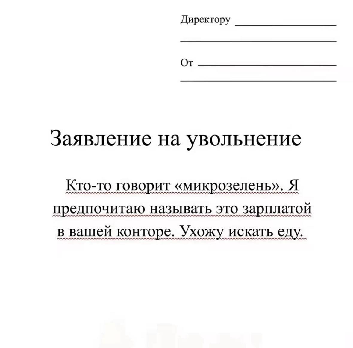 увольняйтесь правильно
#meme | Сетка — социальная сеть от hh.ru