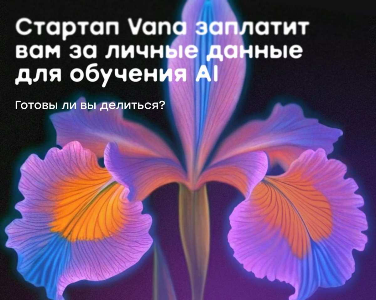 Стартап Vana заплатит вам за личные данные для обучения ИИ | Сетка — социальная сеть от hh.ru