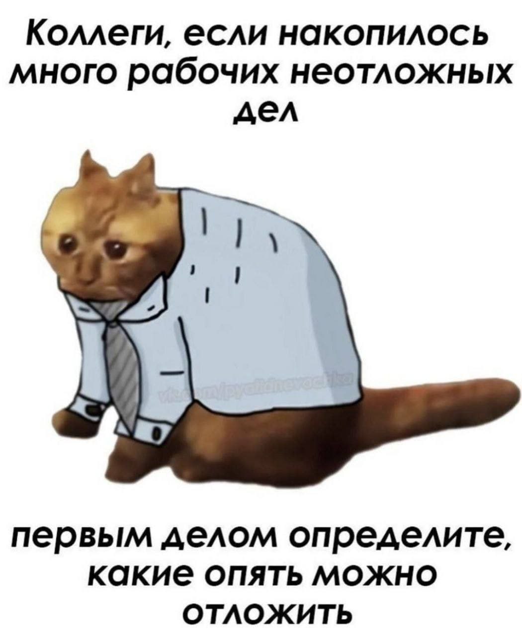 #IT
😂 Твой Пакет Мемов
🛍 Другие каналы | Сетка — социальная сеть от hh.ru