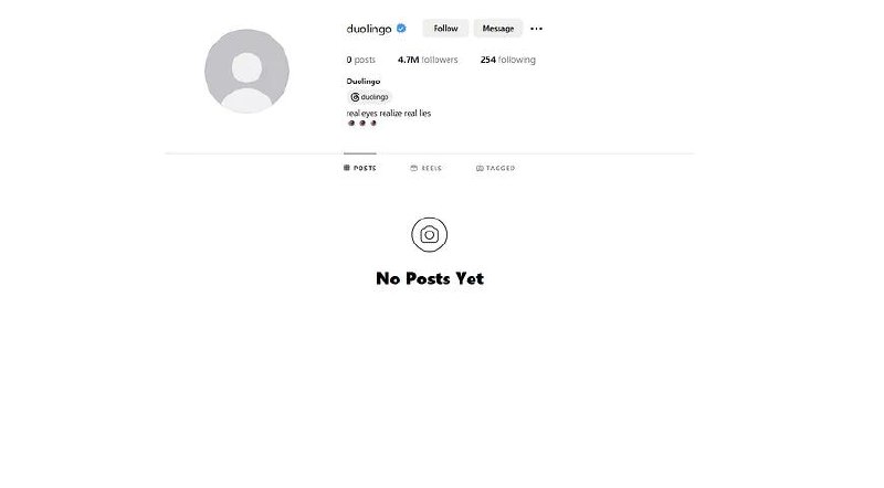 Легкий вайб Balenciaga — Duolingo удалила все свои посты и видео в Нельзяграме и TikTok | Сетка — социальная сеть от hh.ru