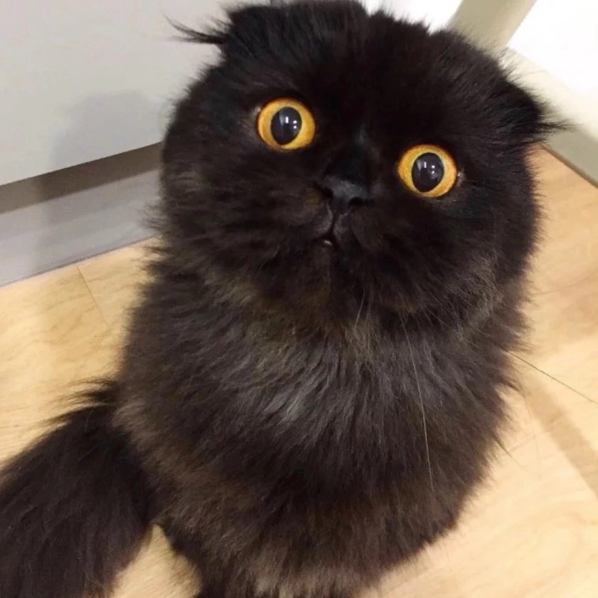 Андрей Непеин | Сетка — социальная сеть от hh.ru