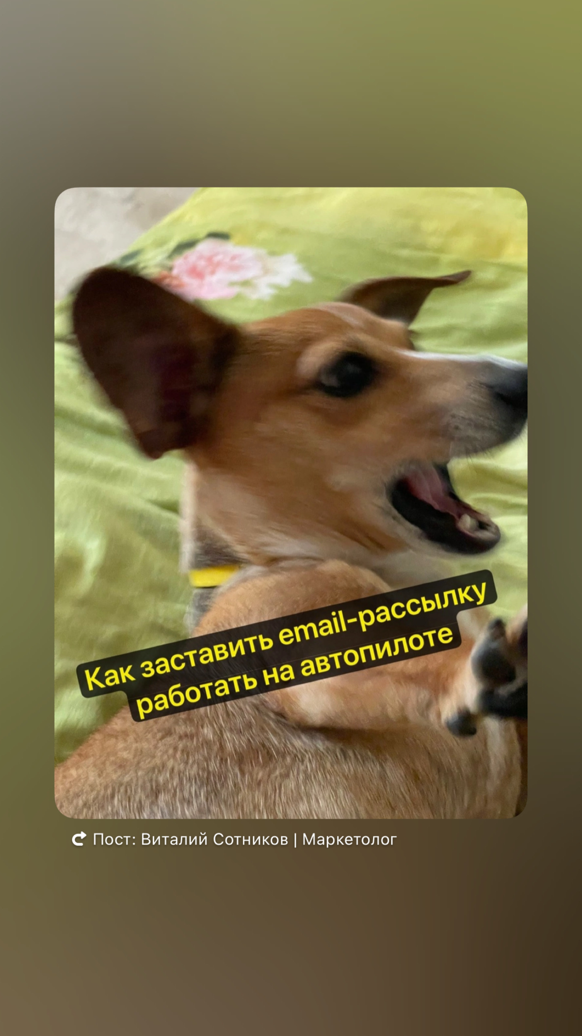 https://t.me/+c35WhFIv2aY2MjEy | Сетка — социальная сеть от hh.ru