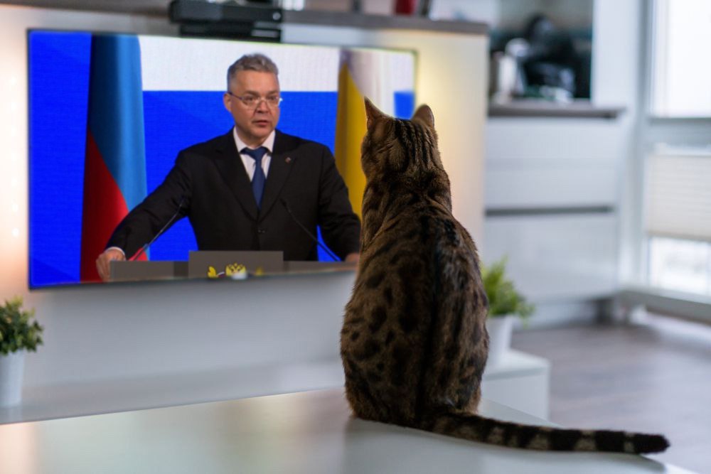 ⚡️Началось ежегодное Послание губернатора
Сегодня глава региона подведет итоги работы регионального Правительства за прошлый год и расскажет всё о планах развития | Сетка — социальная сеть от hh.ru