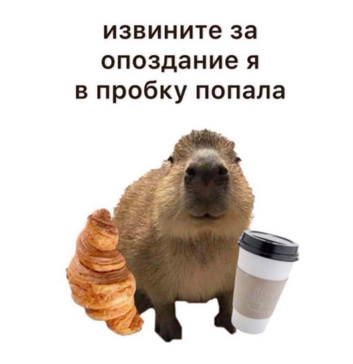 4 типа HR, которых мы встречаем в каждой компании | Сетка — социальная сеть от hh.ru