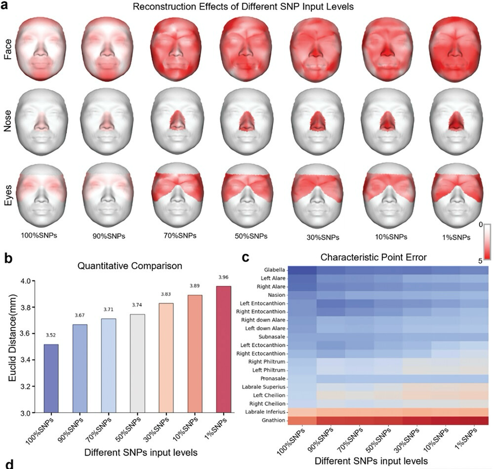 🧬🤖ИИ рисует лица по ДНК: Научная фантастика стала реальной | Сетка — социальная сеть от hh.ru