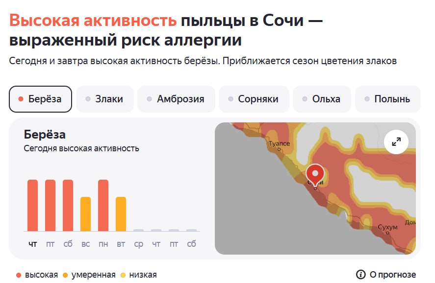 Аллергия? Не в Сочи! 🌿
Я сильно страдаю от аллергии на пыльцу берёзы. Сейчас в Яндексе отображается 🌡 максимальная активность пыльцы, но я не чувствую никаких симптомов | Сетка — социальная сеть от hh.ru