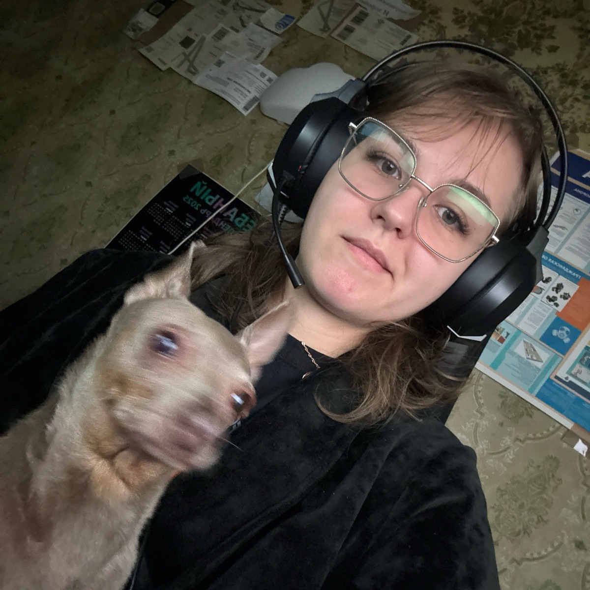 Network member avatar