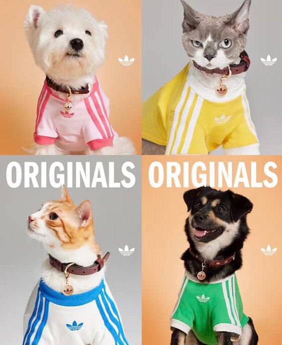 Оу, Adidas Originals в Китае выпустил эксклюзивную коллекцию для животных с футболками, переносками и фирменными ошейниками.
Зачем так мило 🥹 | Сетка — социальная сеть от hh.ru