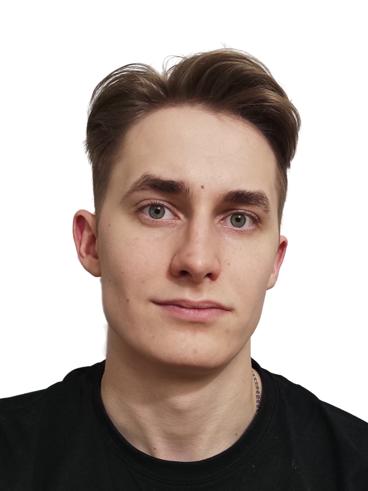 Леонид Птицын