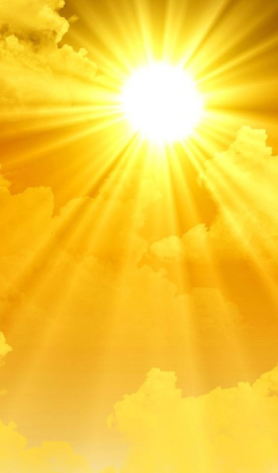 🌿От MicroGreens from ladymary – С ЛЮБОВЬЮ, ВАМ:❤️  
🌺🌺🫶🫶🫶🫶🌺🌺🌺🌺🫶🫶🫶❤️❤️❤️❤️❤️🌿🌿🌿🌿❤️❤️❤️❤️🌿🌿
В мире зелени, где свежесть правит бал,  
MicroGreens от ladymary – идеал | Сетка — социальная сеть от hh.ru