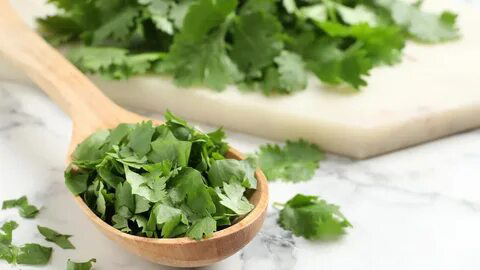 🌼СЕКРЕТ СТРОЙНОСТИ ОТ MicroGreens from ladymary
❤️: МИКРОЗЕЛЕНЬ КИНЗЫ – ЭЛИКСИР ДЛЯ ВАШЕЙ ТАЛИИ,🌼 ЭКСКЛЮЗИВНО ДЛЯ МОИХ ПОДПИСЧИКОВ!
🌿🌿🌿🌿🌿🌿🌿🌺🌺🌺✨✨✨👈
Приветствую вас, мои дорогие ценители красоты и здоро... | Сетка — социальная сеть от hh.ru