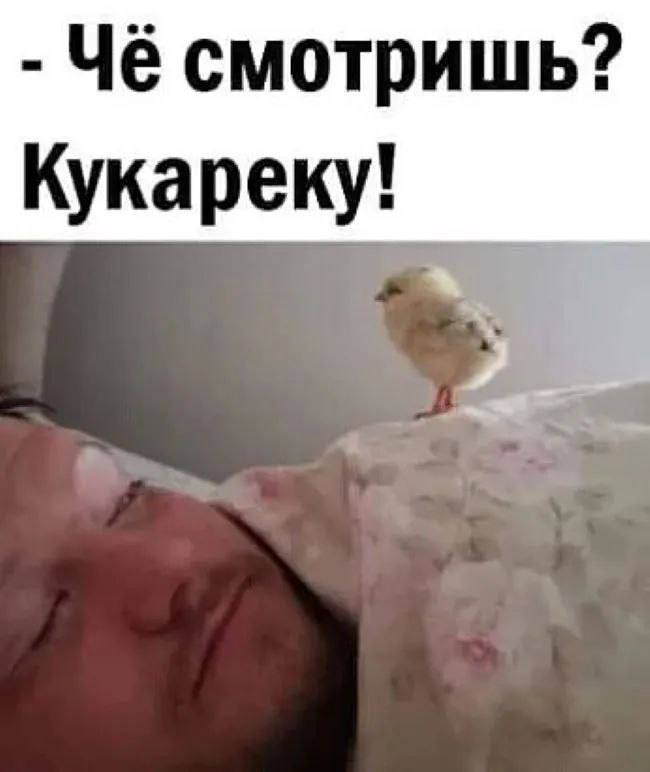 Доброе утро, ставропольцы! Всех с пятницей😁 | Сетка — социальная сеть от hh.ru