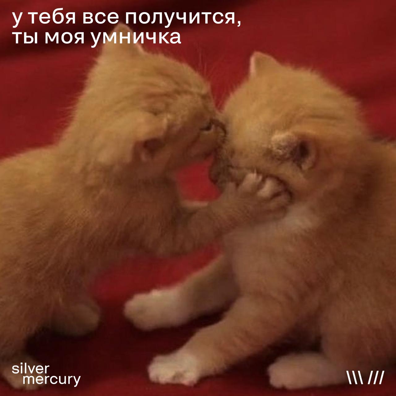Cегодня: второй (финальный) этап голосования SM Awards, результаты шорт-листа на SM Ceremony 3-6 июня.
🩶 Котики от редактора на удачу прилагаются | Сетка — социальная сеть от hh.ru