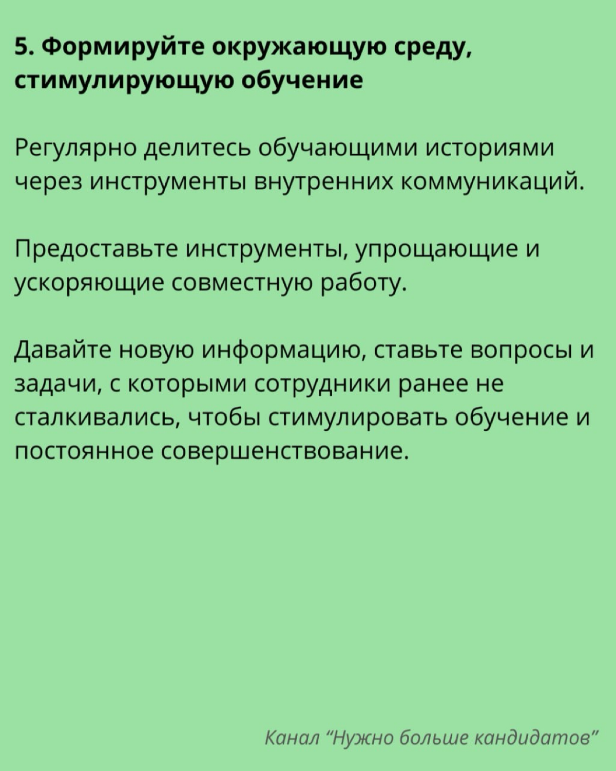 📚 Как развивать культуру обучения в компании? | Сетка — социальная сеть от hh.ru