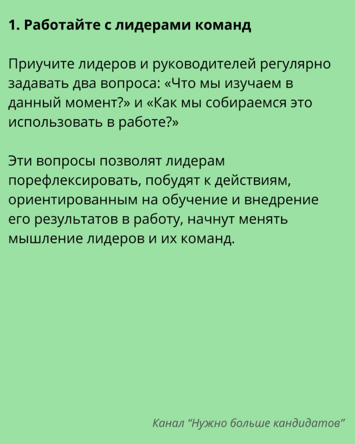 📚 Как развивать культуру обучения в компании? | Сетка — социальная сеть от hh.ru