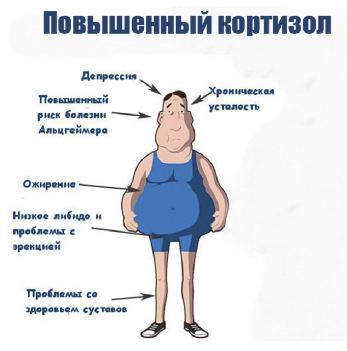 Ты думаешь, что тебе нужен отдых? Нет. | Сетка — социальная сеть от hh.ru