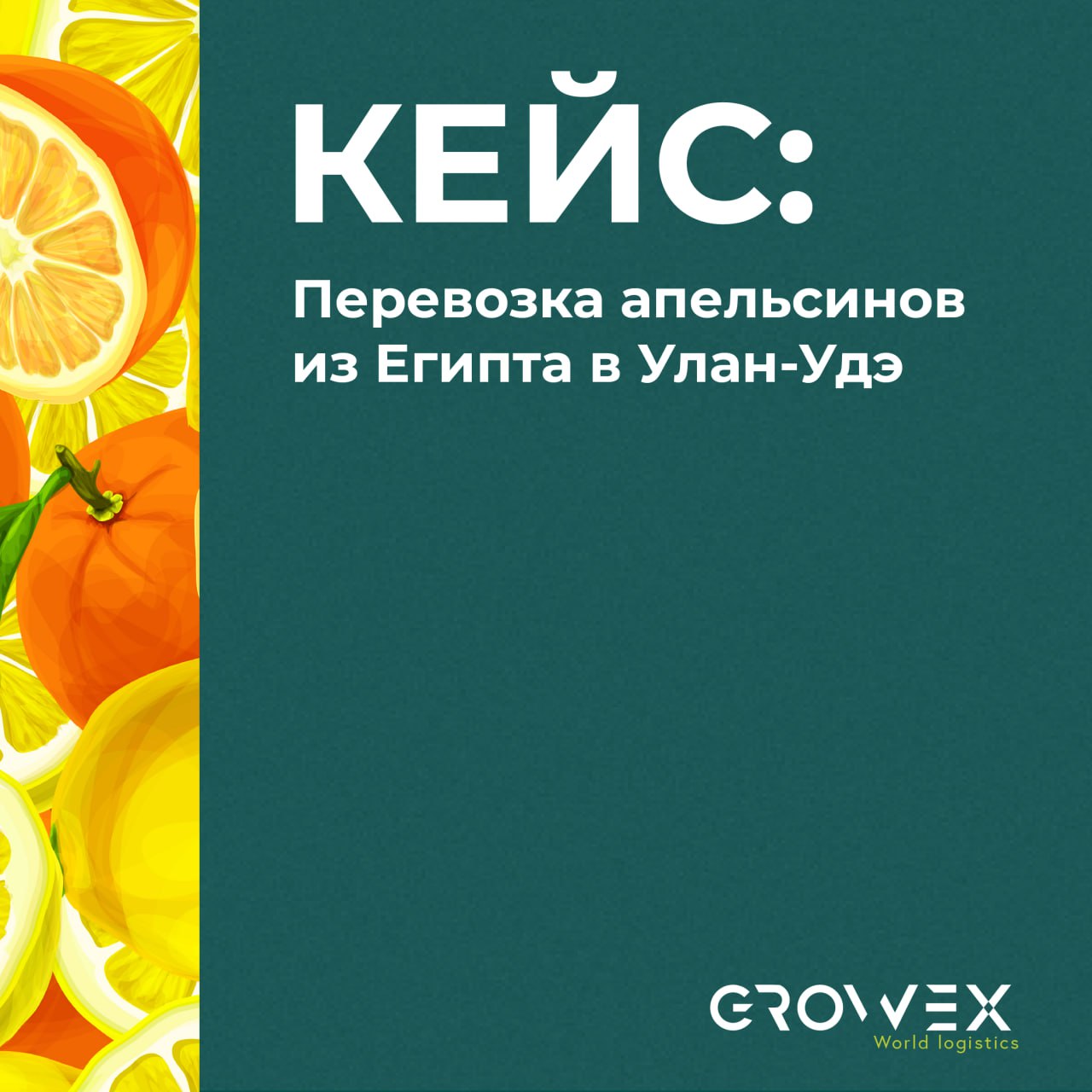 🗺Кейс GROWEX: апельсины из Египта — в Улан-Удэ
Импортеру из Бурятии потребовалось доставить рефконтейнер апельсинов с соблюдением температурного режима и всех карантинных требований | Сетка — социальная сеть от hh.ru