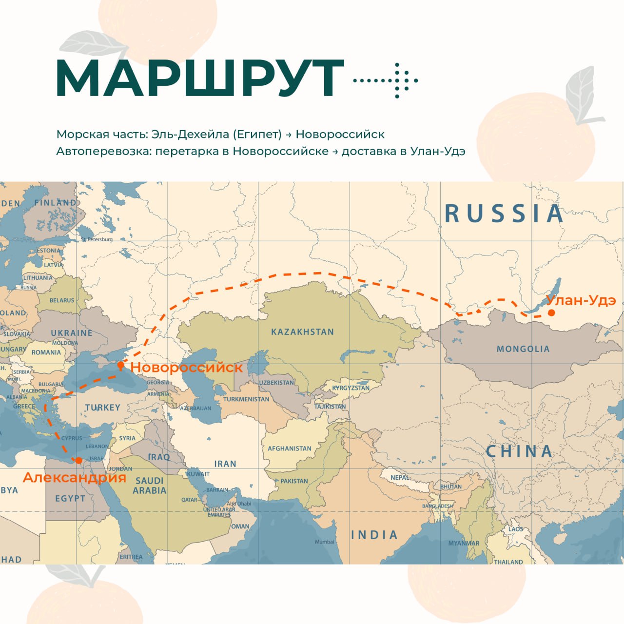 🗺Кейс GROWEX: апельсины из Египта — в Улан-Удэ
Импортеру из Бурятии потребовалось доставить рефконтейнер апельсинов с соблюдением температурного режима и всех карантинных требований | Сетка — социальная сеть от hh.ru