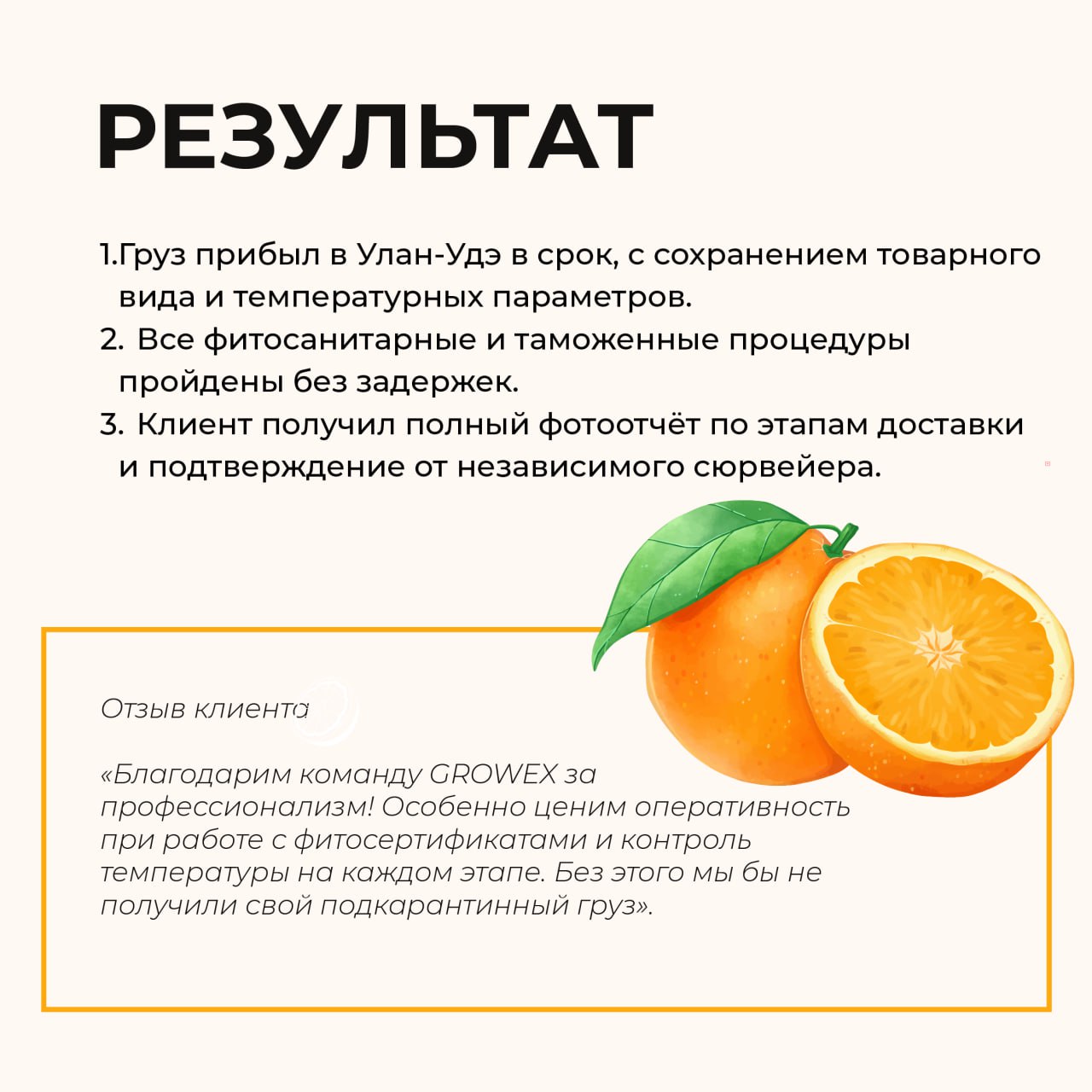🗺Кейс GROWEX: апельсины из Египта — в Улан-Удэ
Импортеру из Бурятии потребовалось доставить рефконтейнер апельсинов с соблюдением температурного режима и всех карантинных требований | Сетка — социальная сеть от hh.ru
