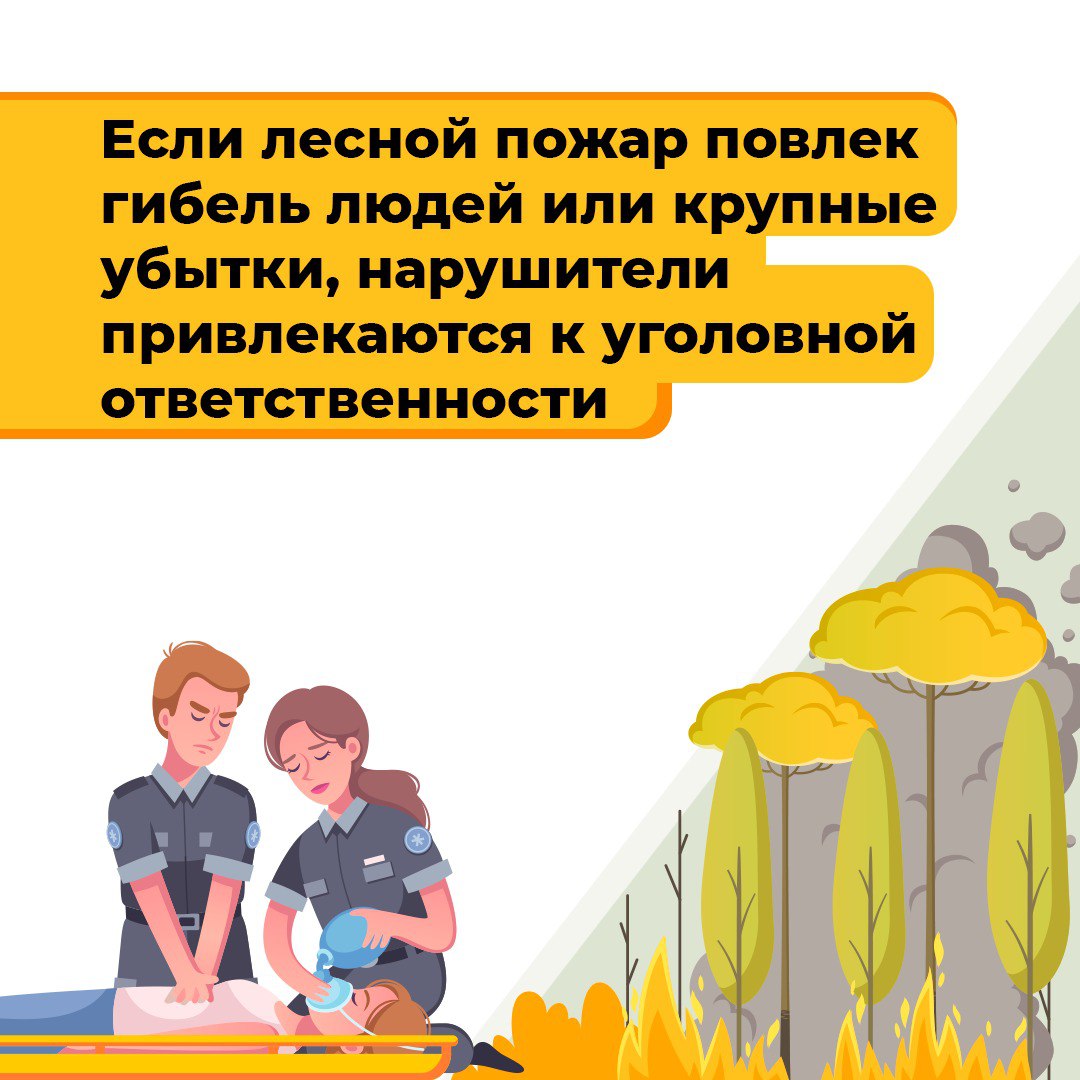 Лесные пожары — основная причина повреждения и гибели лесов
Нарушение требований правил пожарной безопасности в лесу и на участках, к ним примыкающих, преследуется по закону | Сетка — социальная сеть от hh.ru