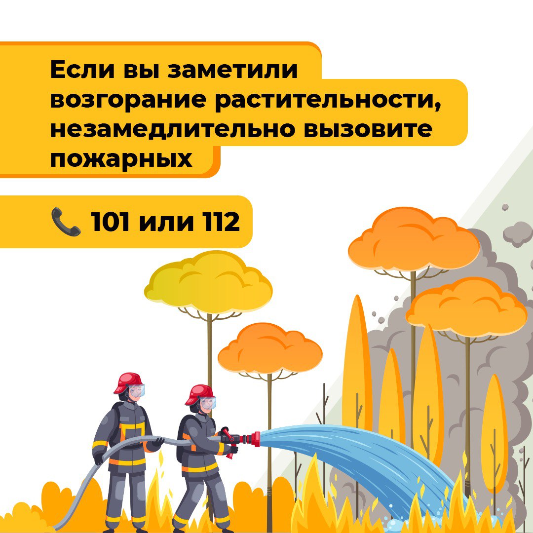 Лесные пожары — основная причина повреждения и гибели лесов
Нарушение требований правил пожарной безопасности в лесу и на участках, к ним примыкающих, преследуется по закону | Сетка — социальная сеть от hh.ru