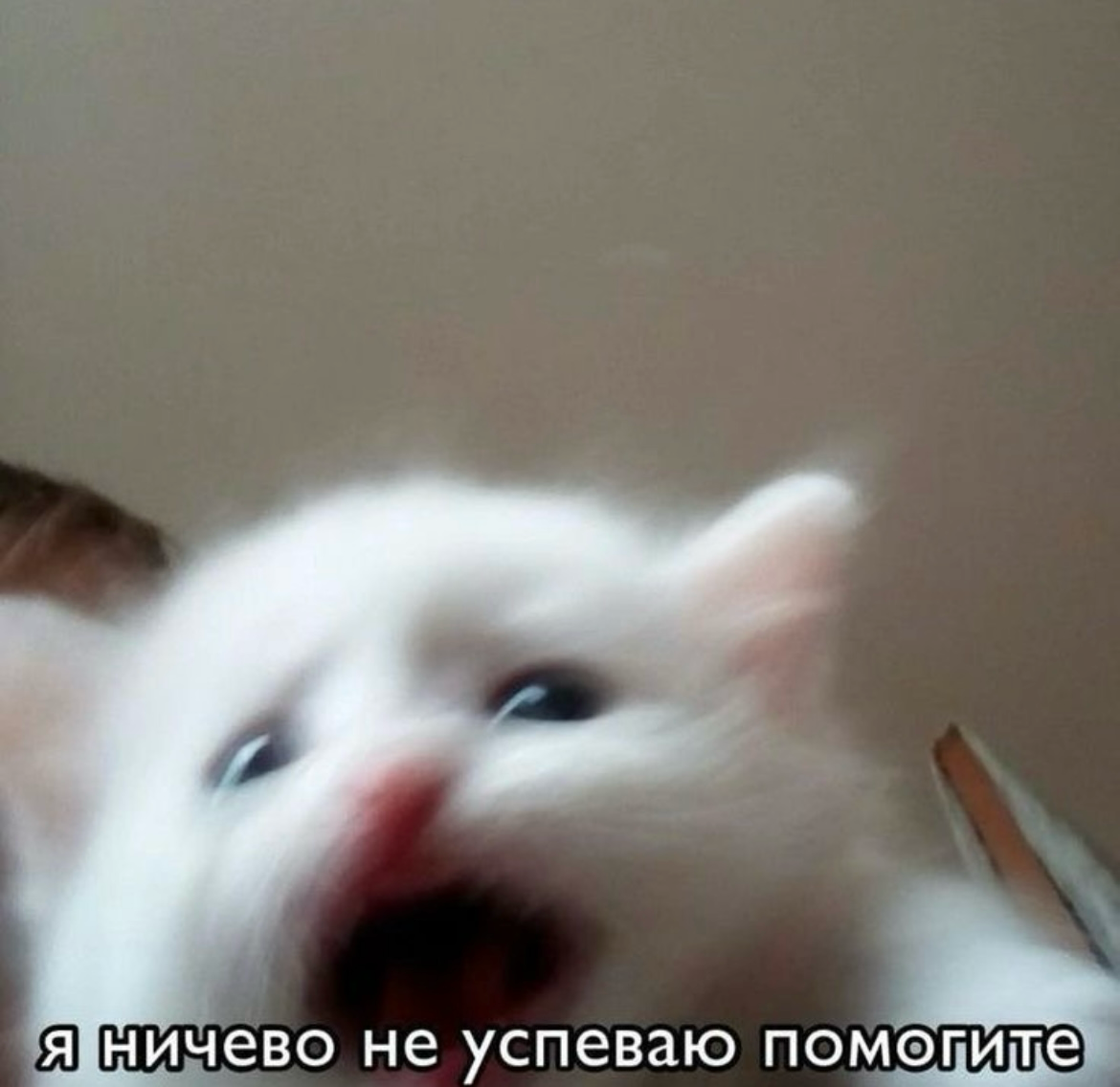 Чек-лист: Как провести ревизию HR-процессов и не сойти с ума | Сетка — социальная сеть от hh.ru