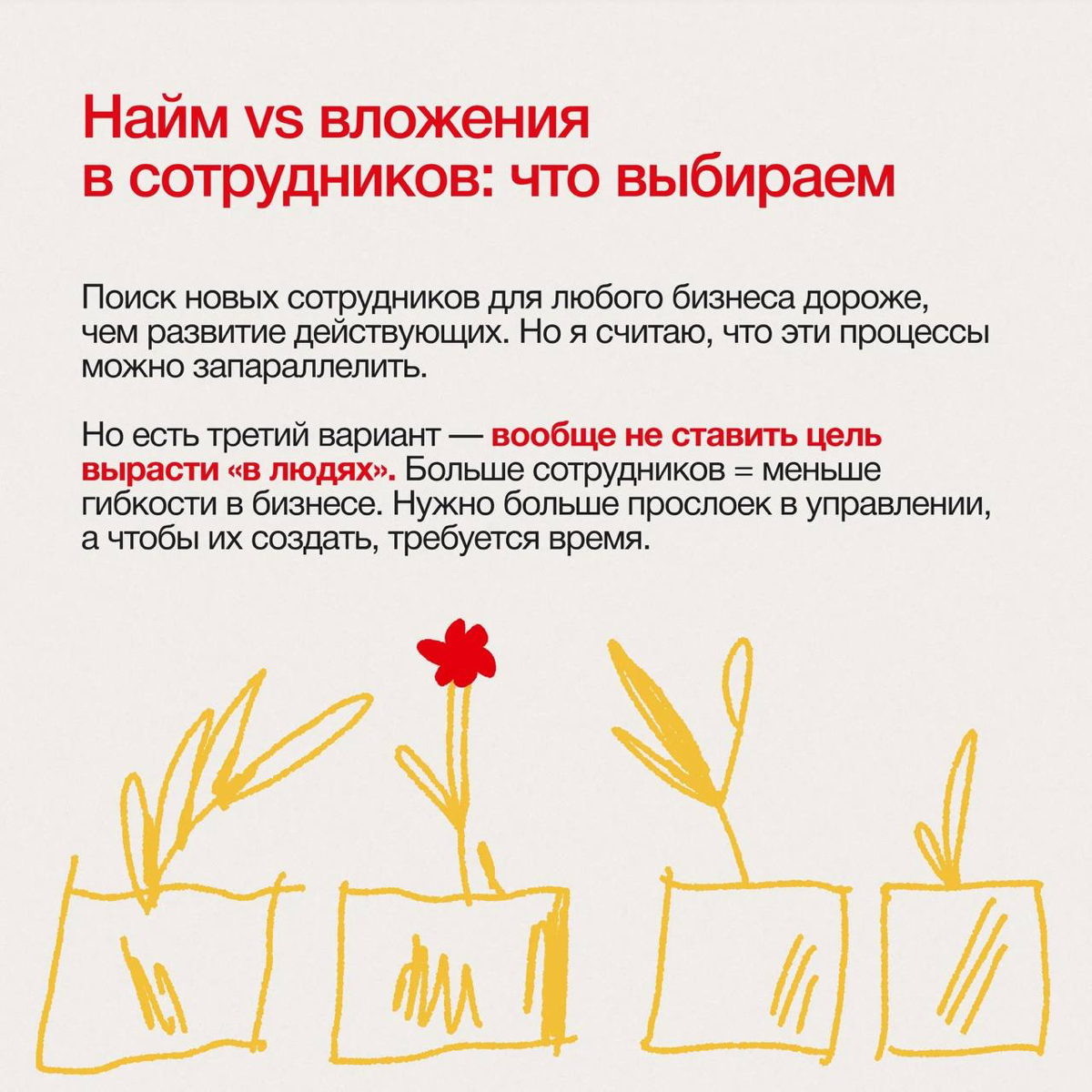 Кейс Сидорин Лаб: как стабильно расти в диджитале | Сетка — социальная сеть от hh.ru