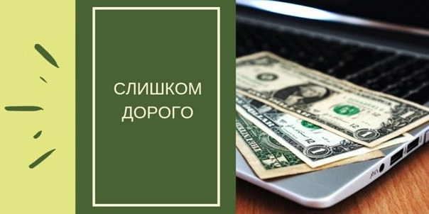 🌱 Микрозелень трюфеля: роскошь на вашем столе! 💎  
Что это такое и сколько стоит? 🤔 Микрозелень трюфеля - это молодые ростки, выращенные из семян трюфеля | Сетка — социальная сеть от hh.ru