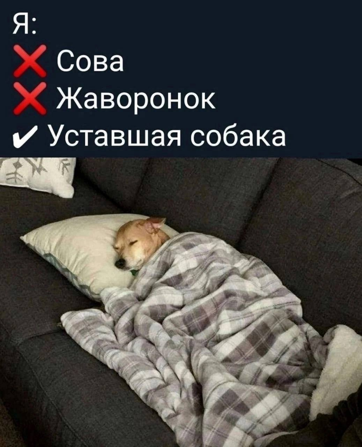 И так каждый день | Сетка — социальная сеть от hh.ru
