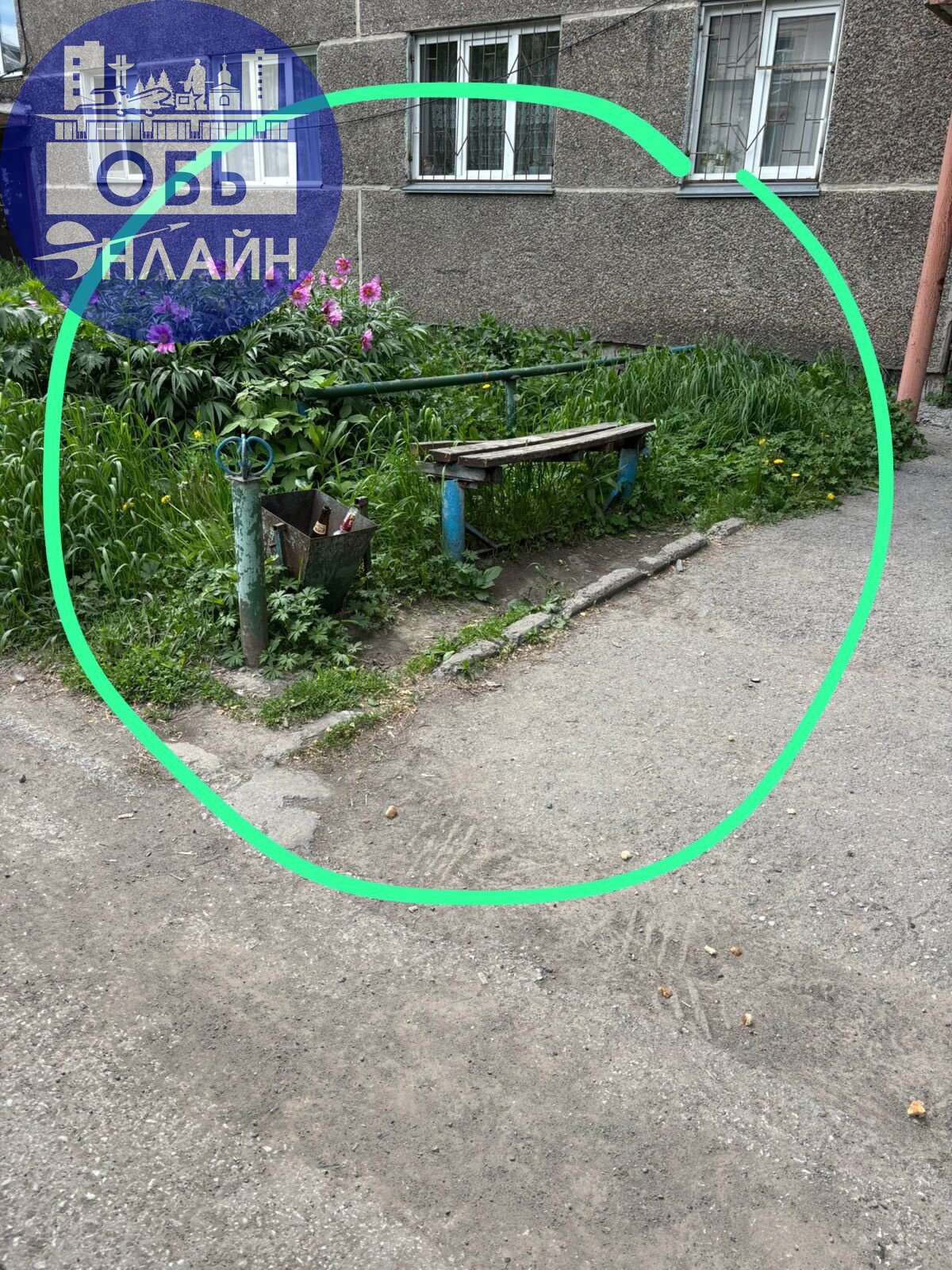 ↗ Всем привет, а че у нас происходит ? Почему, я плачу в Ленинскую, а они даже элементарно лавку другую вкопать не могут, рухлядь стоит , на ней дед который постоянно сидит скоро свалится, на козырьке... | Сетка — социальная сеть от hh.ru