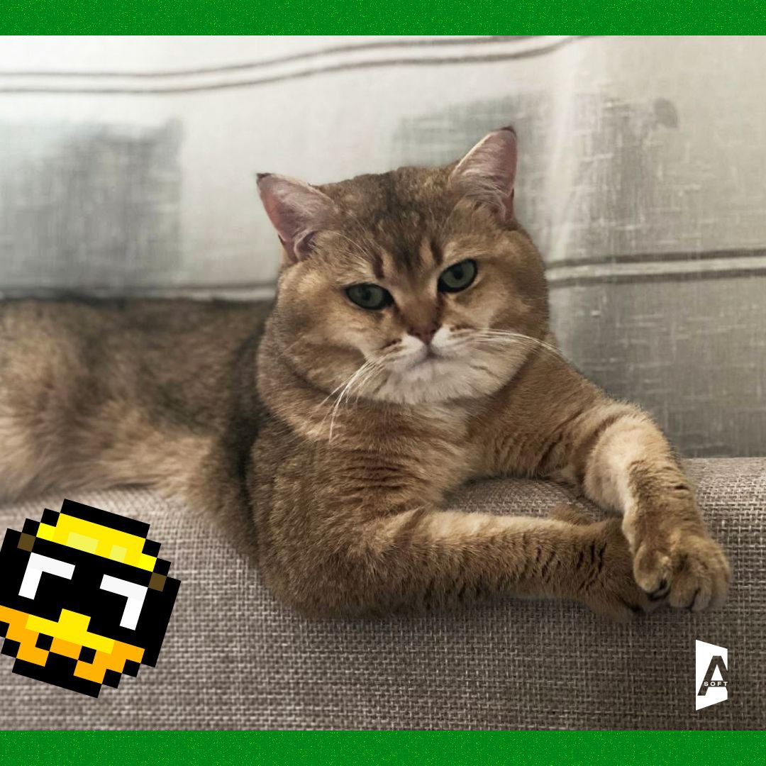 Та-дам, сегодня запускаем постоянную рубрику: #Зверопятница! 🐾
Знакомьтесь с пушистыми (и не очень, но сегодня очень) питомцами наших сотрудников! 🐈 | Сетка — социальная сеть от hh.ru